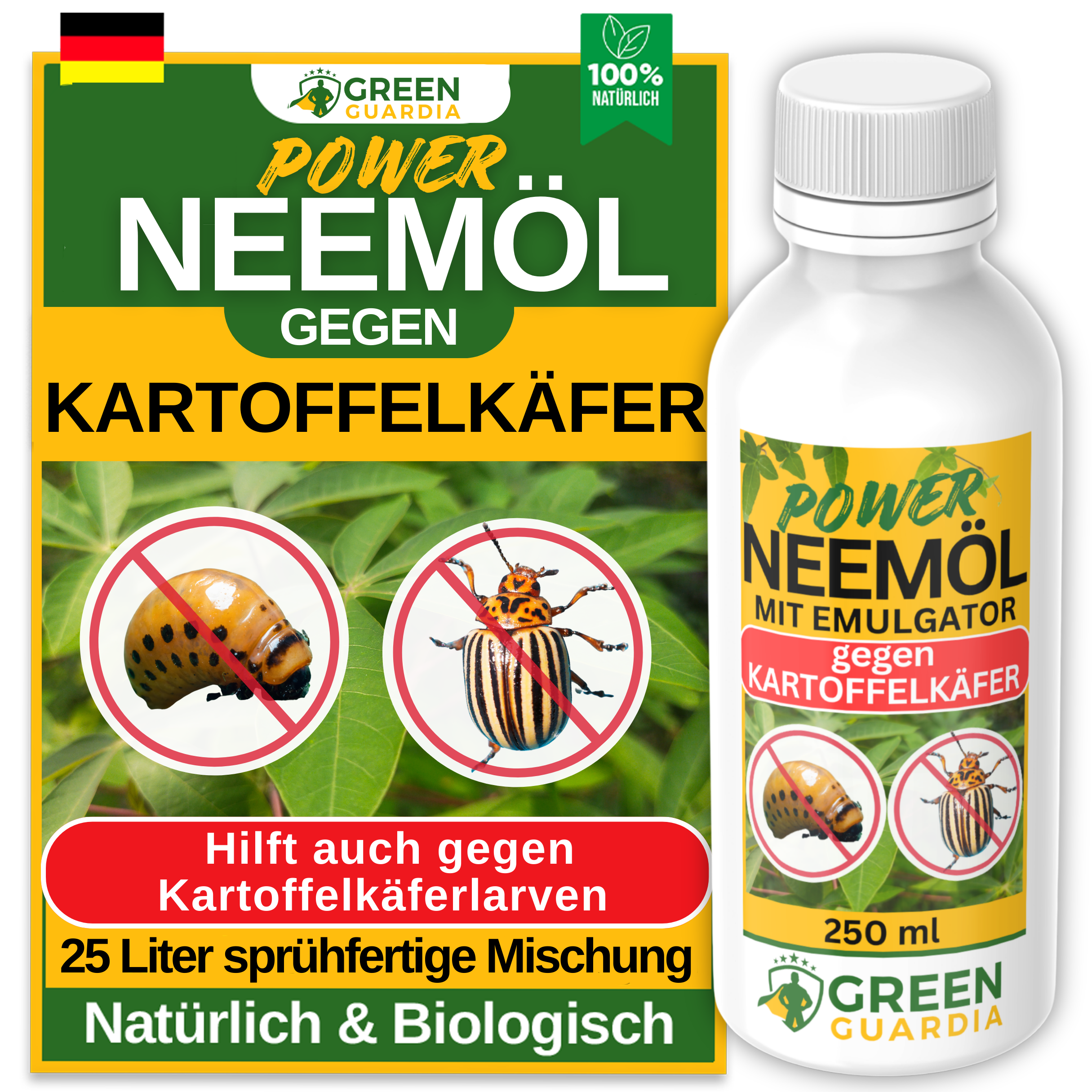 Olio di Neem potente contro la dorifora della patata