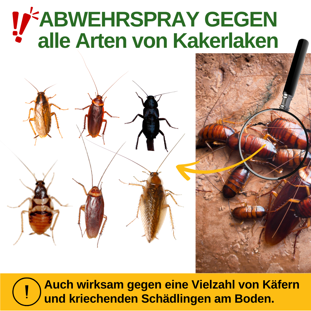 Spray repellente per scarafaggi concentrato