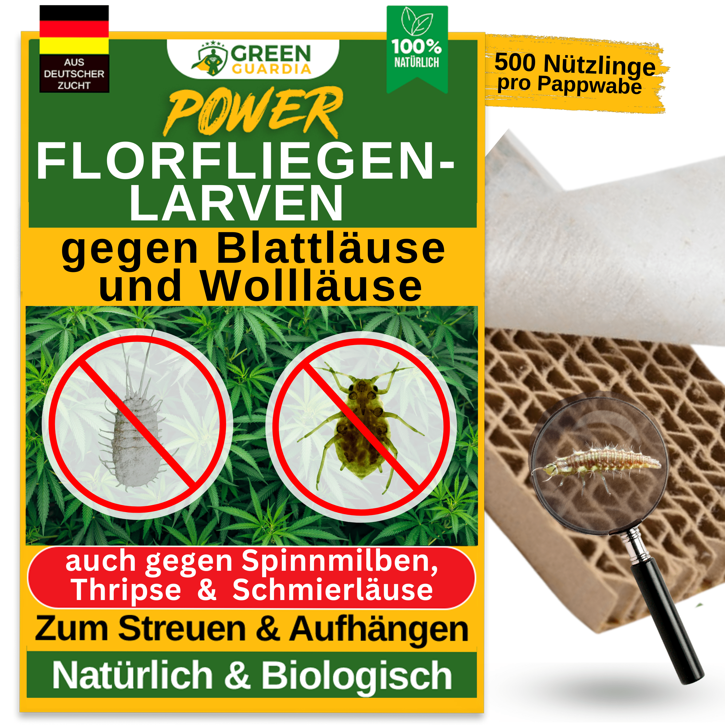 Florfliegenlarven gegen Blattläuse und Wollläuse - Green Guardia - Ihr Experte für Schädlinge und Pflanzen