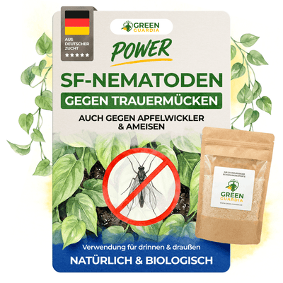 SF - Nematoden gegen Trauermücken - Green Guardia - Ihr Experte für Schädlinge und Pflanzen