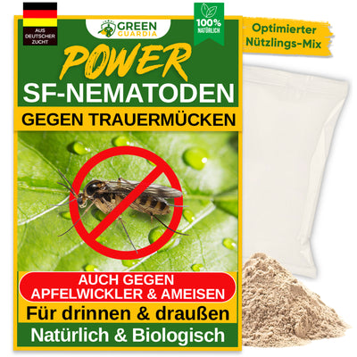 SF-Nematoden gegen Trauermücken, Apfelwickler & Ameisen