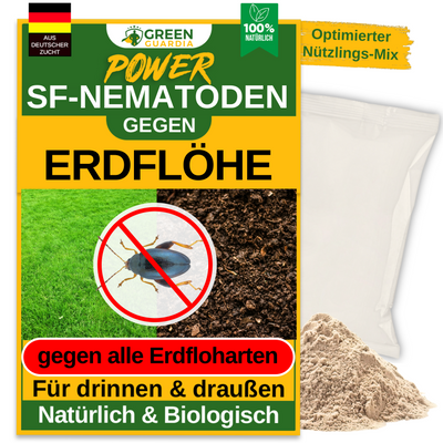 SF-Nematoden gegen Erdflöhe