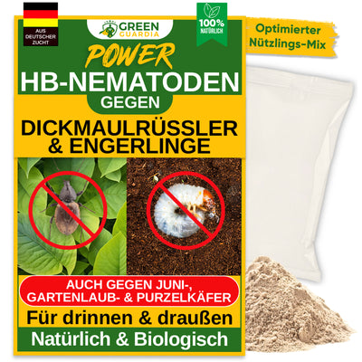 HB-Nematoden gegen Dickmaulrüssler & Engerlinge