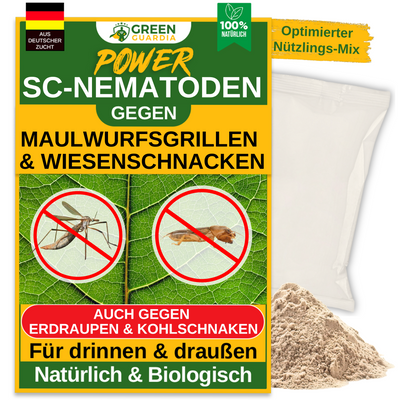 SC-Nematoden gegen gegen Maulwurfsgrillen, Wiesenschnaken und Erdraupen