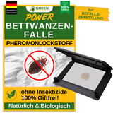 Bed bug trap with pheromone attractant 
