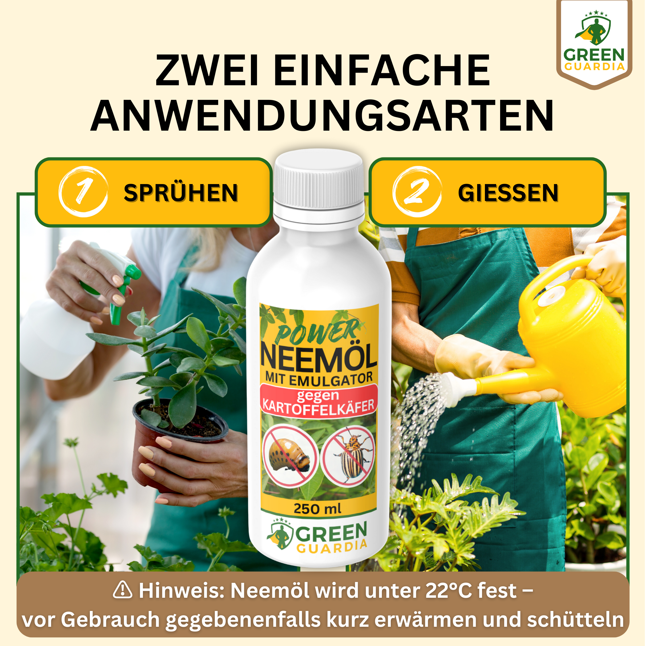 Olio di Neem potente contro la dorifora della patata