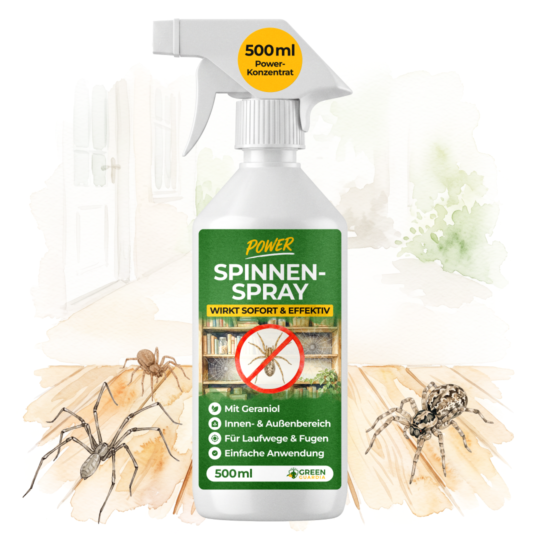 Spray repellente per ragni concentrato - 500 ml
