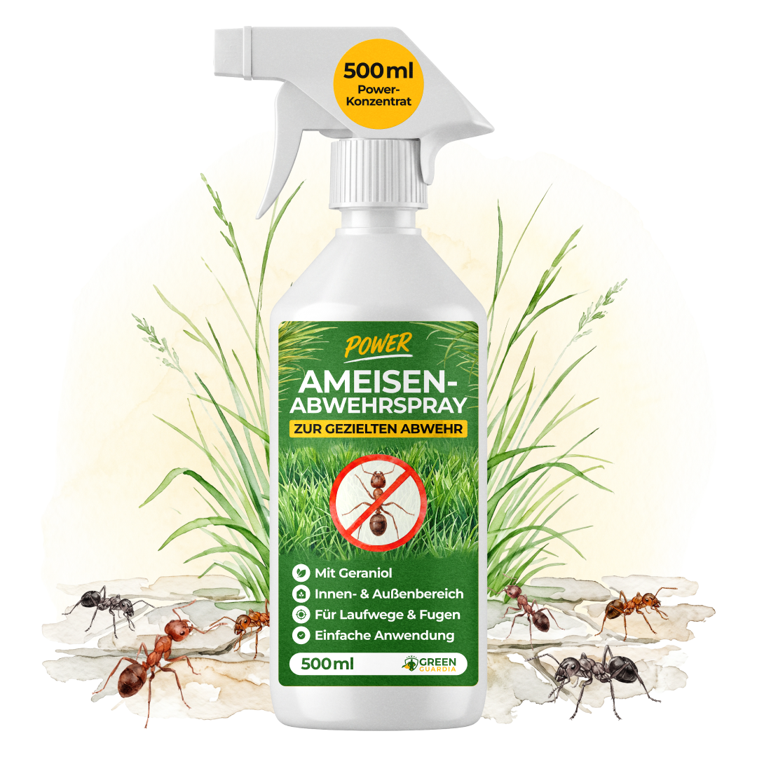 Spray repellente per formiche concentrato - 500 ml