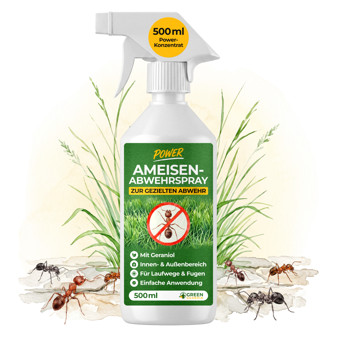 Spray repellente per formiche concentrato - 500 ml