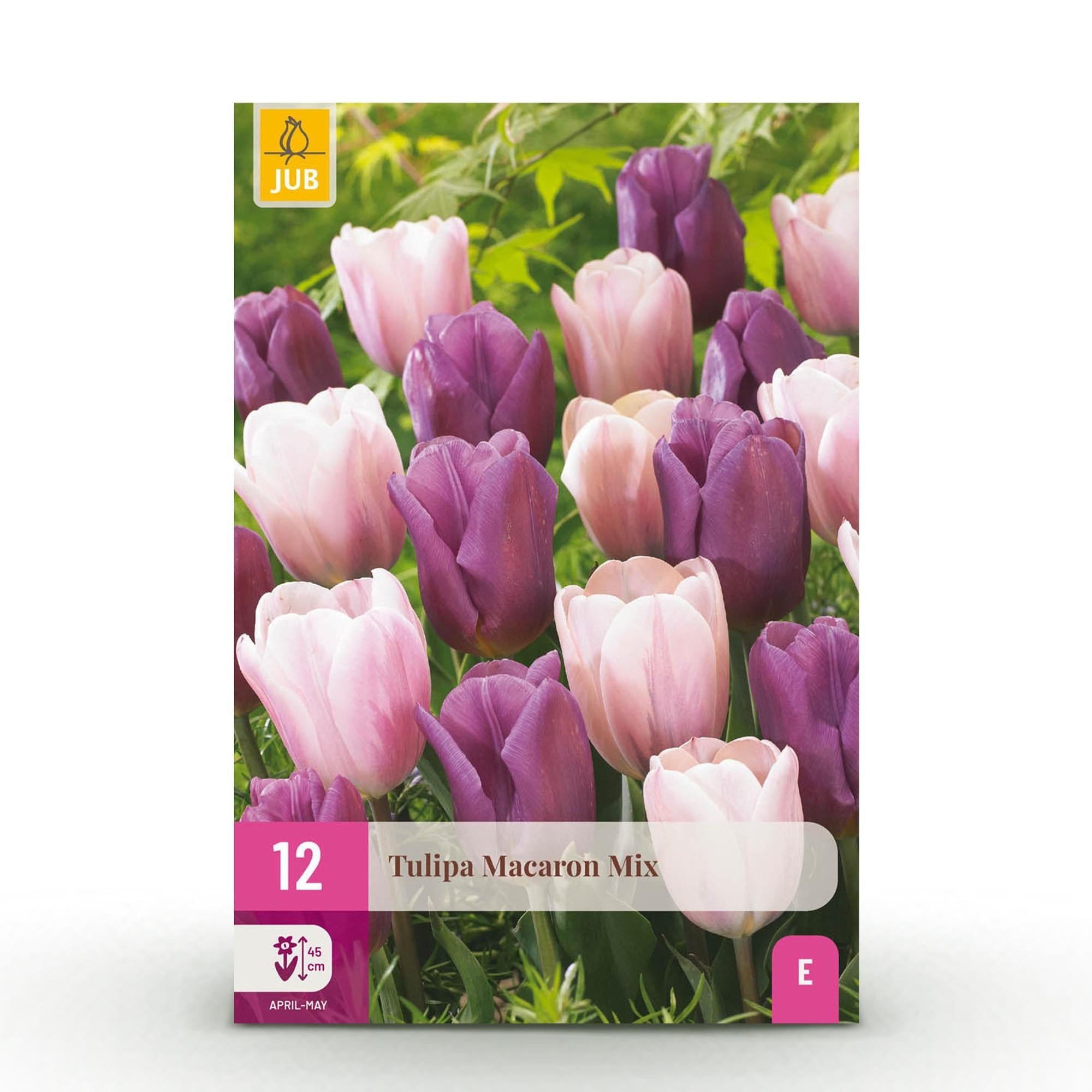 Blumenzwiebeln – Tulpe Macron Mix – winterhart & mehrjährig – verschiedene Farben – 12 Stück – Zwiebelgröße 11/12 – XXL Pack - Green Guardia - Ihr Experte für Schädlinge und Pflanzen