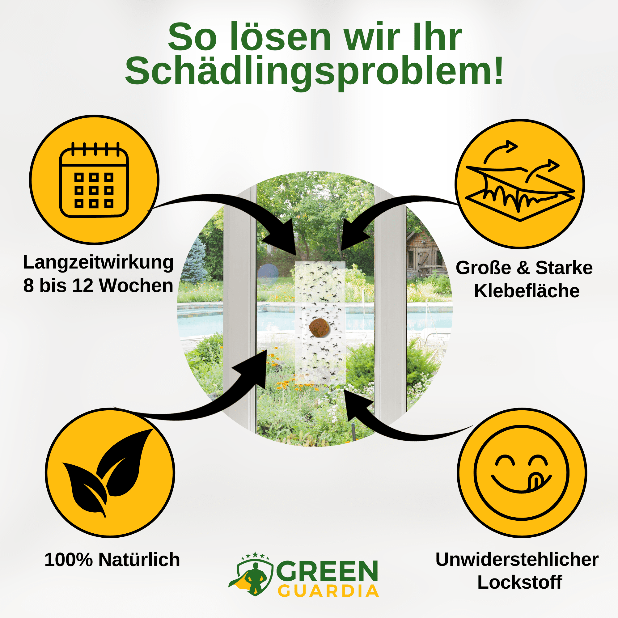 Brotkäfer Fenster - Falle mit Spezial - Lockstoff - Green Guardia - Ihr Experte für Schädlinge und Pflanzen