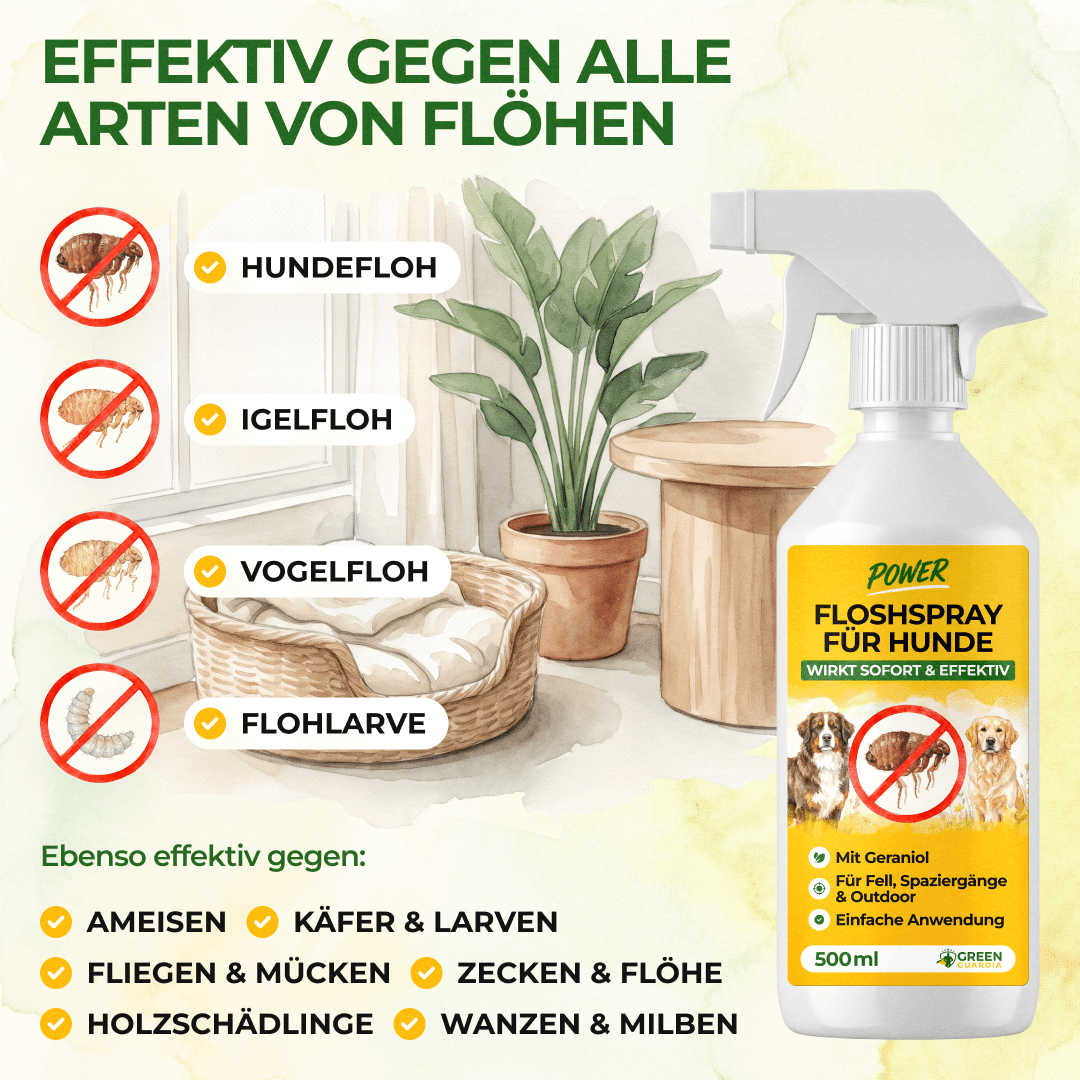 Flöhe Abwehrspray Power-Konzentrat für Hunde - 500ml - Green Guardia - Ihr Experte für Schädlinge und Pflanzen