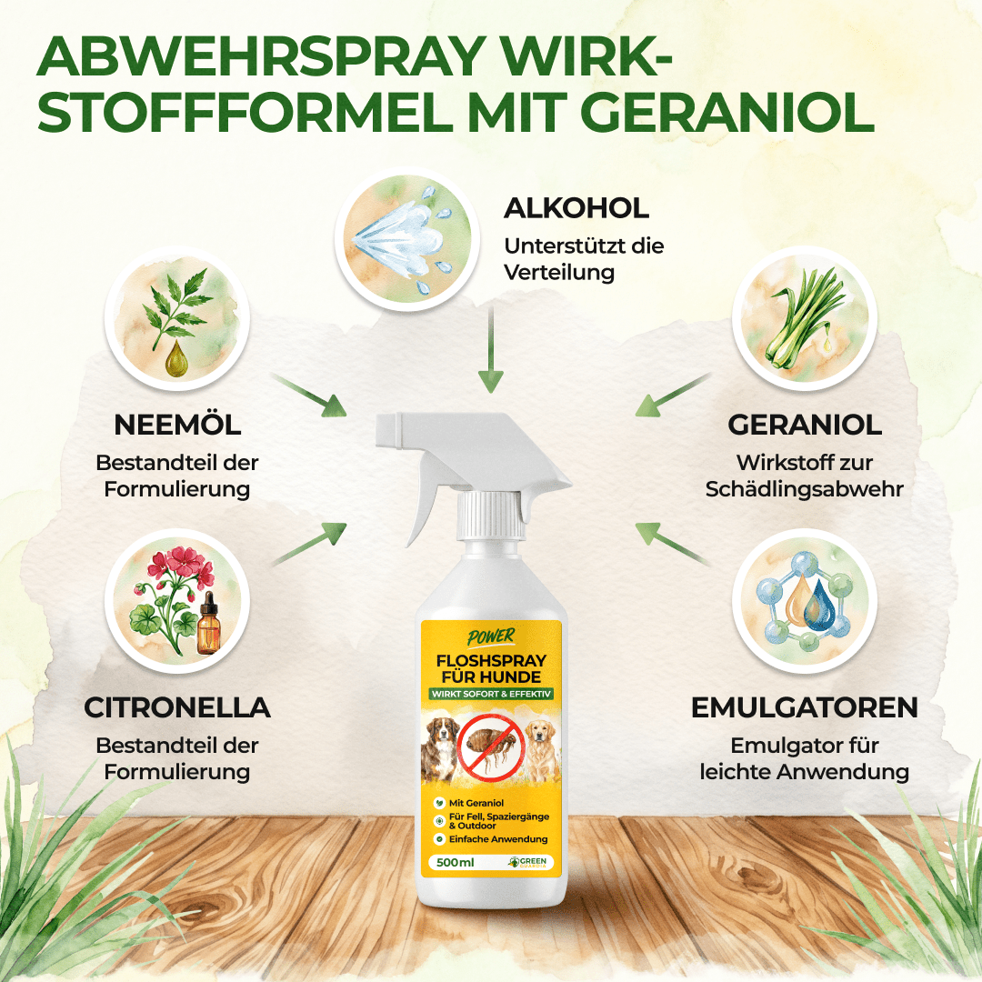 Flöhe Abwehrspray Power-Konzentrat für Hunde - 500ml - Green Guardia - Ihr Experte für Schädlinge und Pflanzen