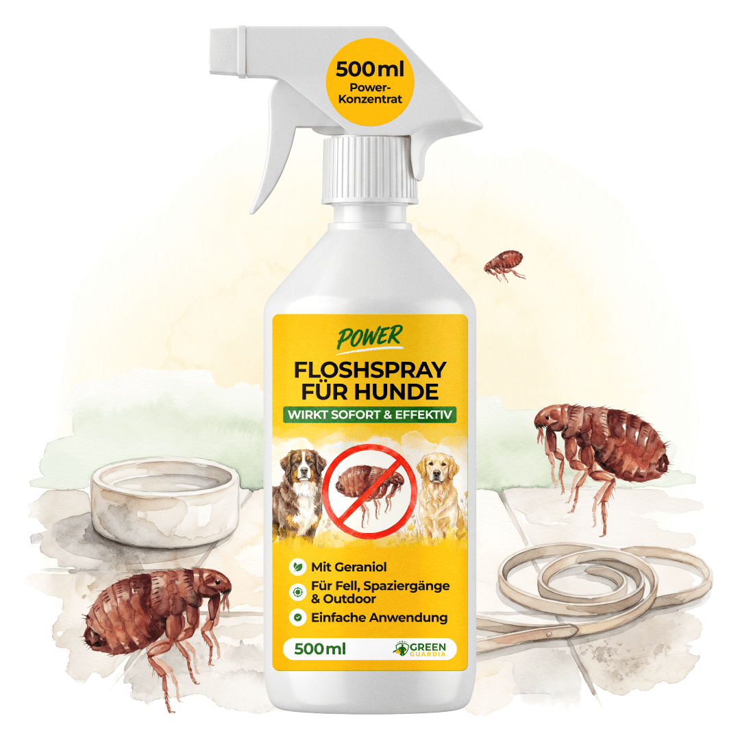 Flöhe Abwehrspray Power-Konzentrat für Hunde - 500ml - Green Guardia - Ihr Experte für Schädlinge und Pflanzen