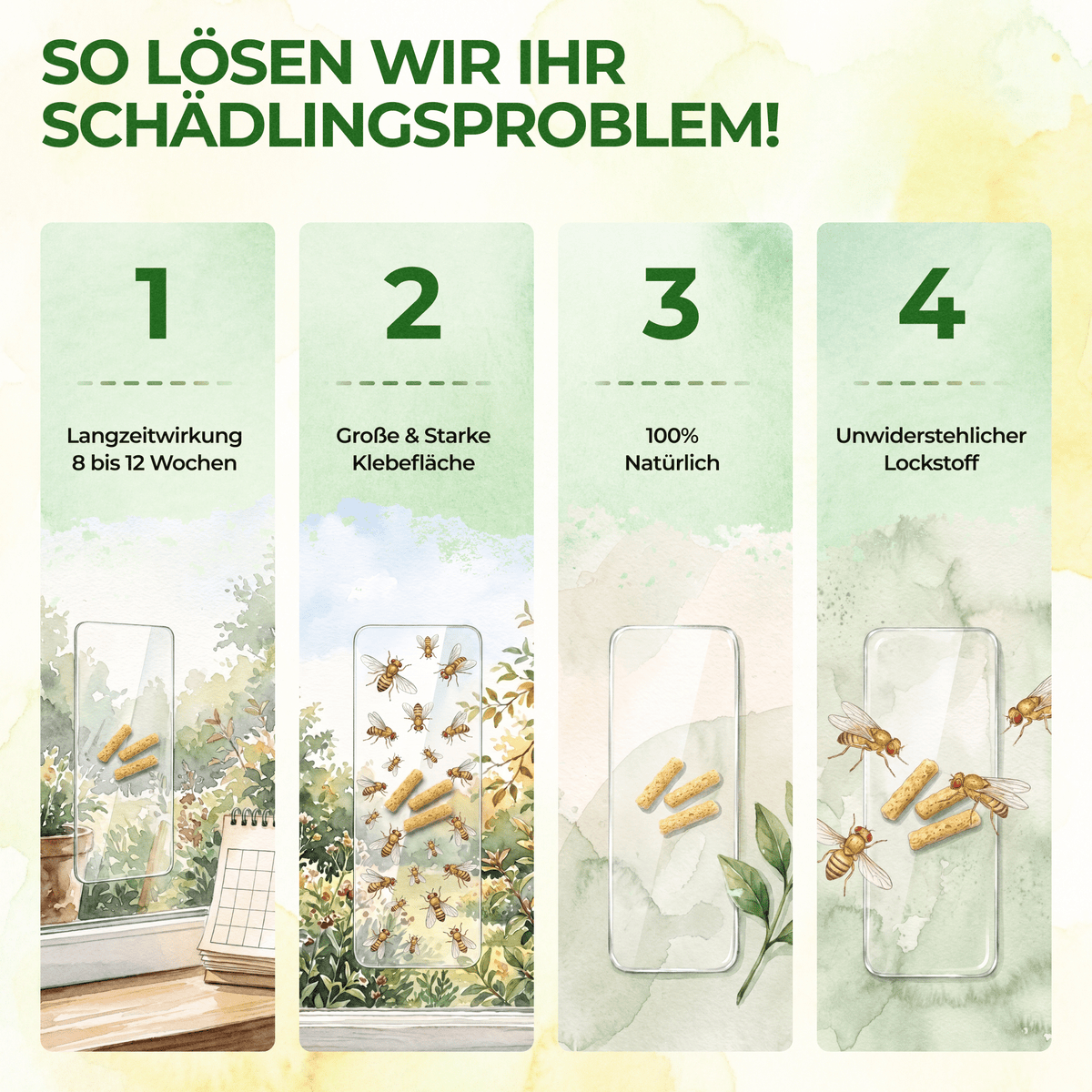 Fruchtfliegen Fenster-Falle - Green Guardia - Ihr Experte für Schädlinge und Pflanzen