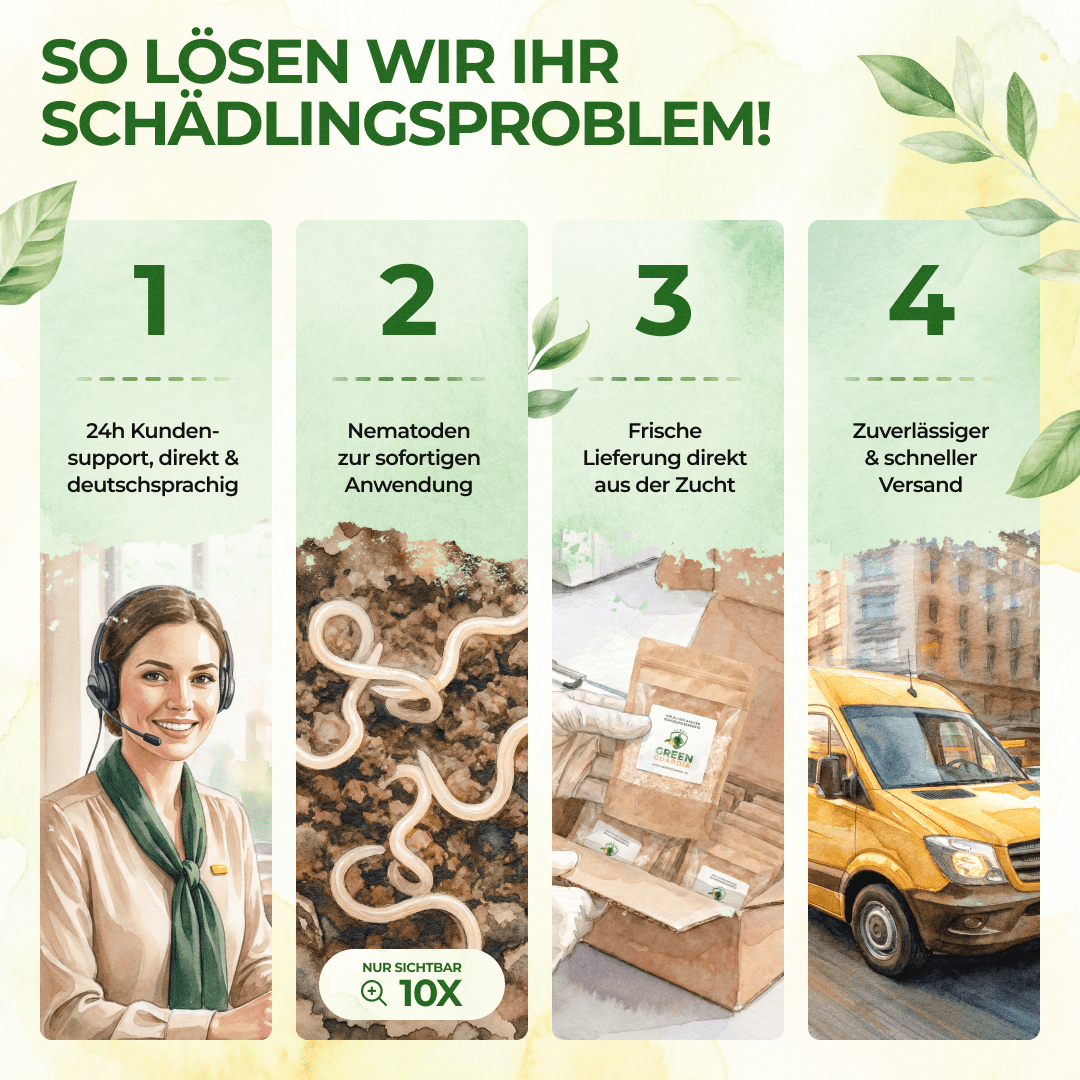 HB - Nematoden gegen Dickmaulrüssler & Engerlinge - Green Guardia - Ihr Experte für Schädlinge und Pflanzen