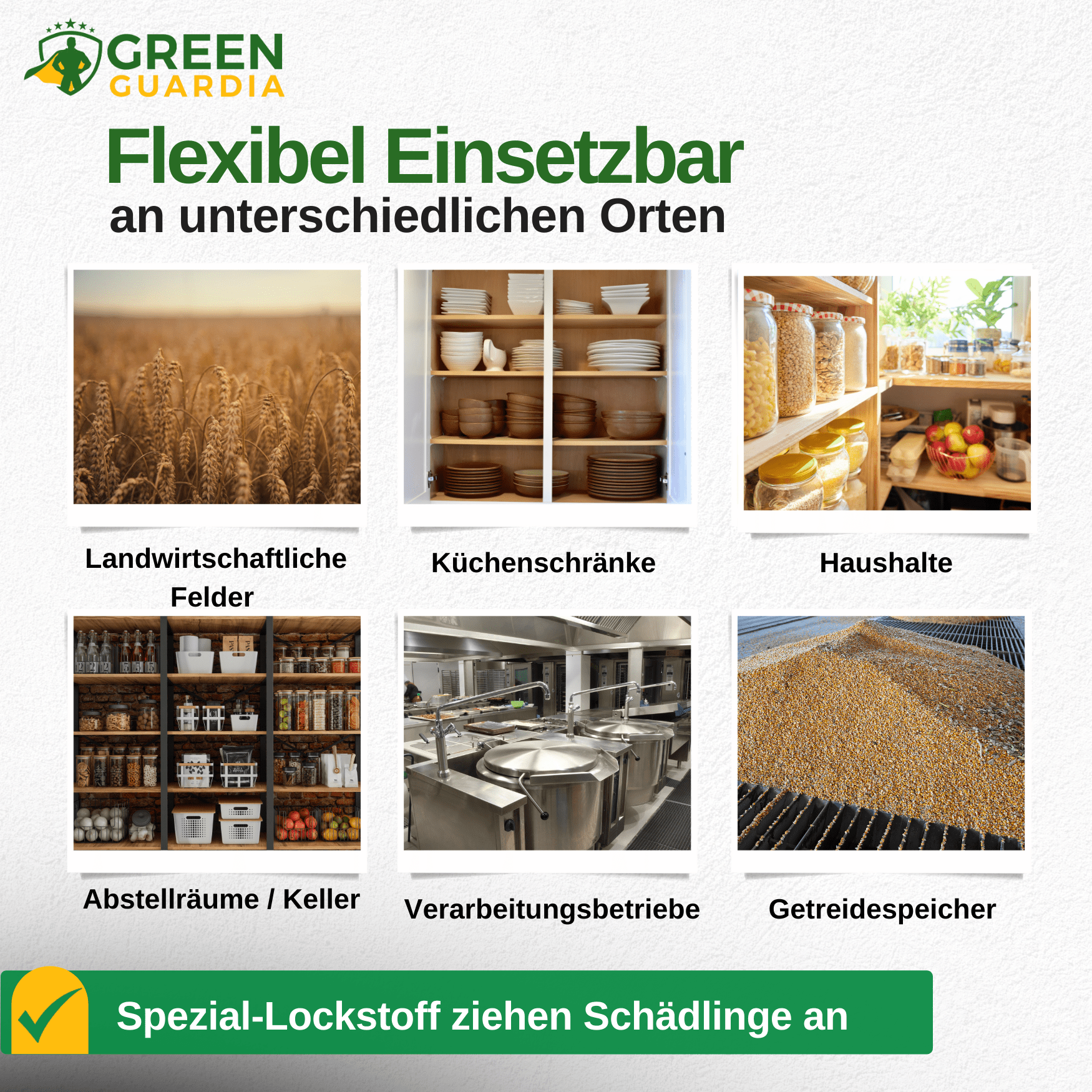 Käfer Falle mit Spezial - Lockstoff - Green Guardia - Ihr Experte für Schädlinge und Pflanzen