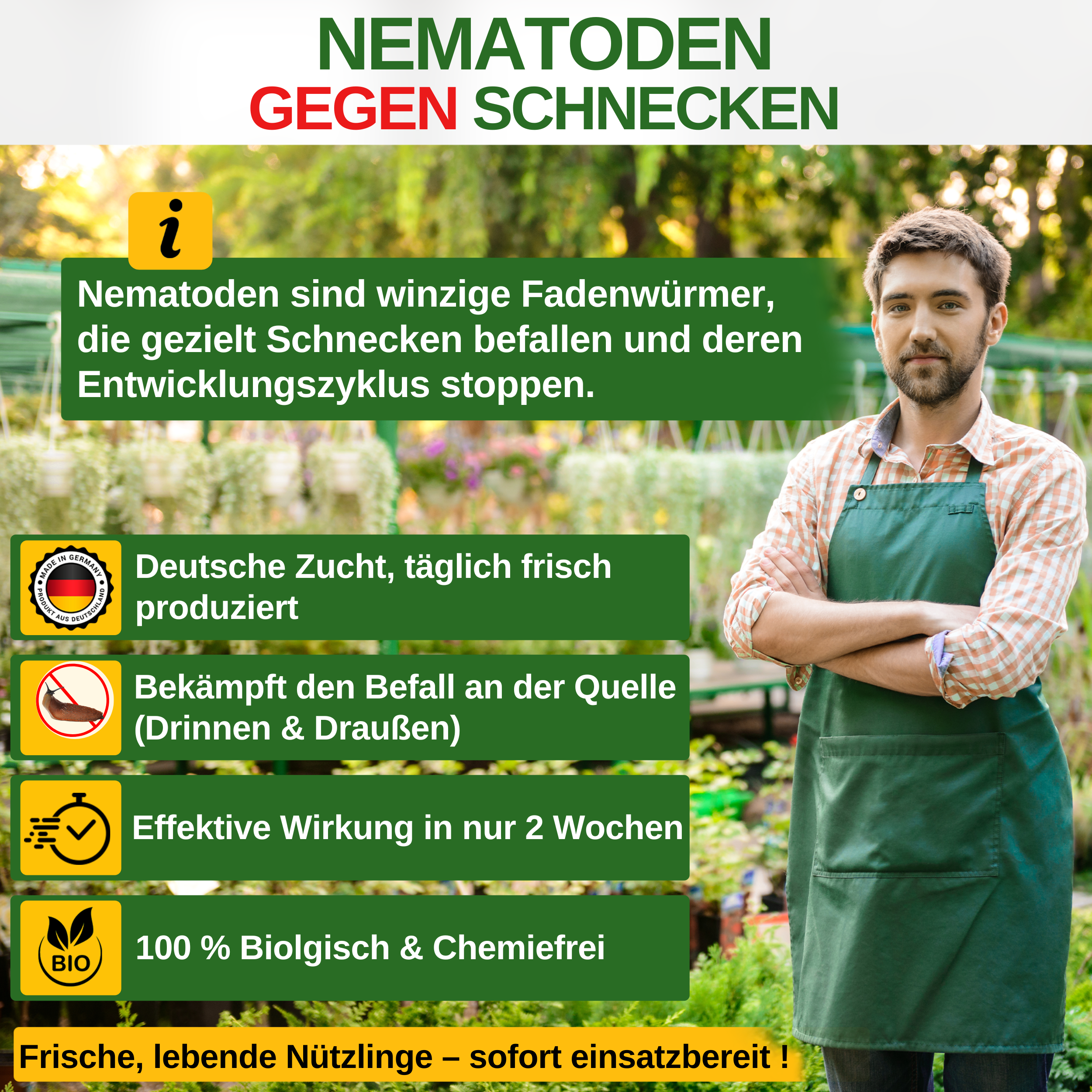 Nematoden gegen alle Arten von Schnecken - Green Guardia - Ihr Experte für Schädlinge und Pflanzen