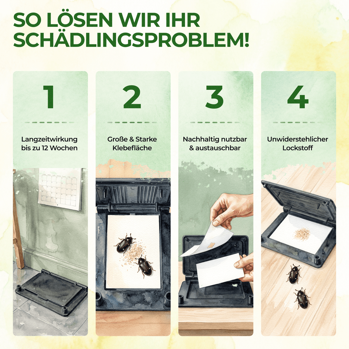 Pelzkäfer Falle - Green Guardia - Ihr Experte für Schädlinge und Pflanzen