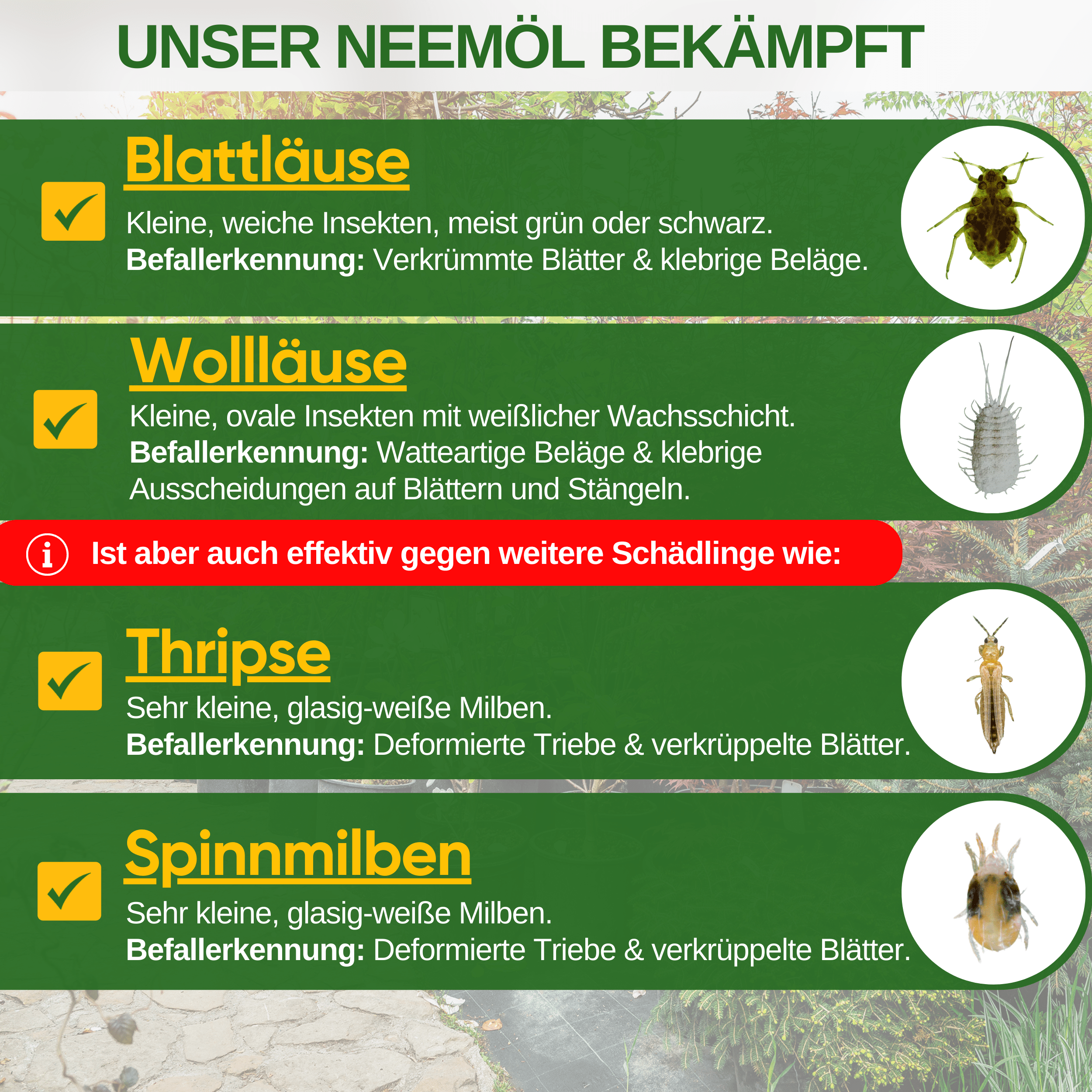 Power Neemöl gegen Blatt - und Wollläuse - Green Guardia - Ihr Experte für Schädlinge und Pflanzen