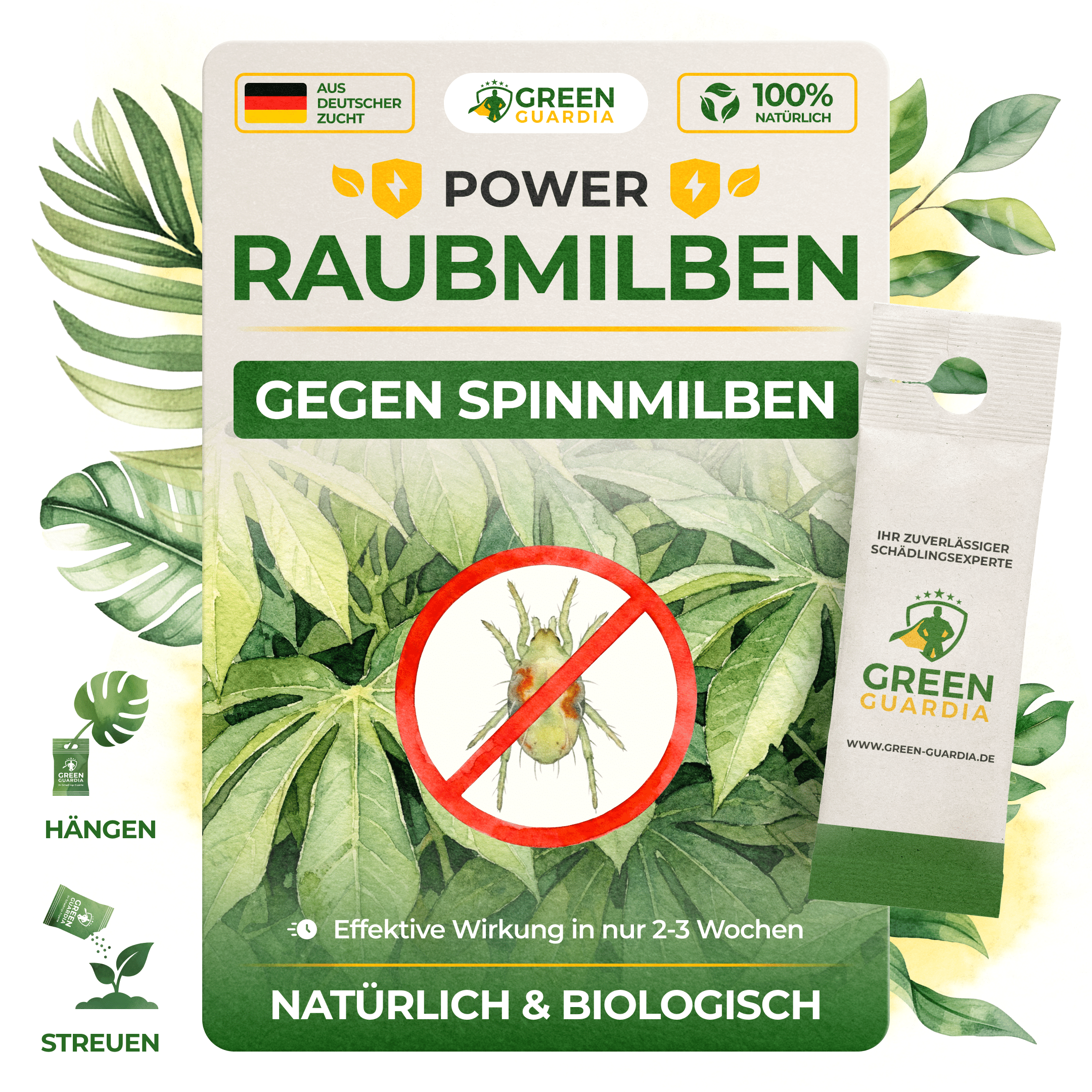 Raubmilben gegen Spinnmilben - Green Guardia - Ihr Experte für Schädlinge und Pflanzen