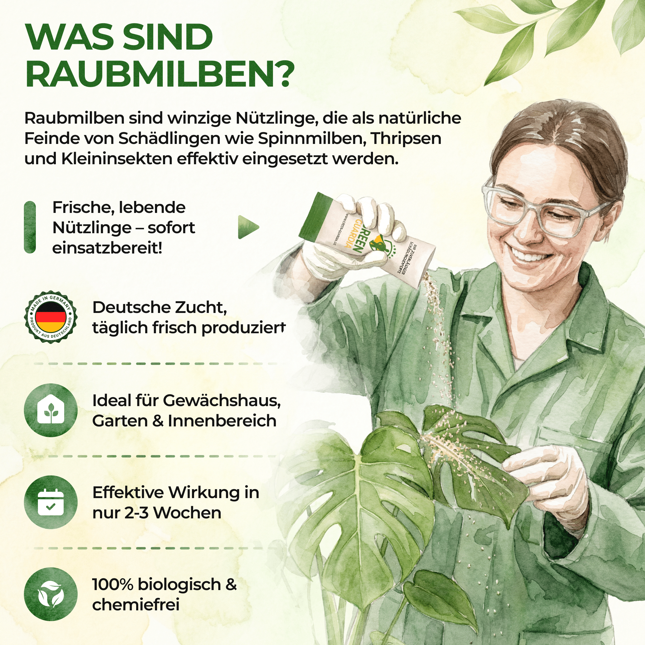 Raubmilben gegen Spinnmilben - Green Guardia - Ihr Experte für Schädlinge und Pflanzen