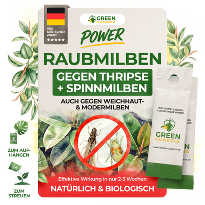Raubmilben Mix gegen Thripse & Spinnmilben
