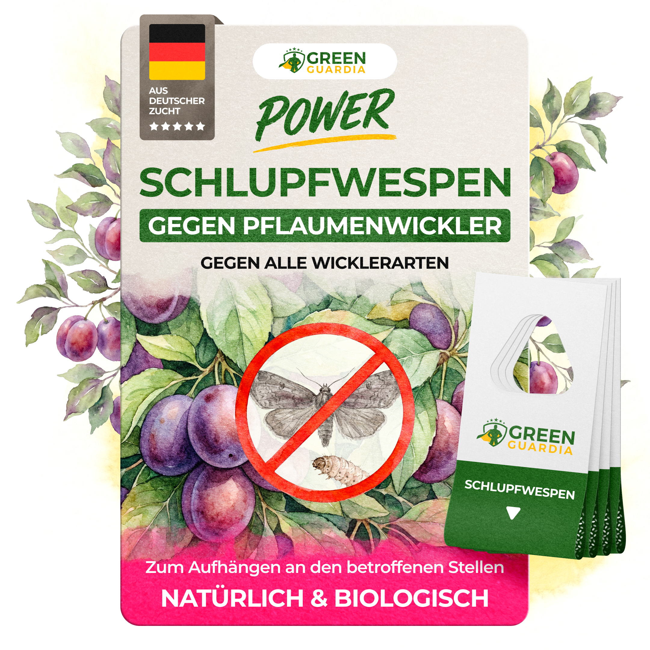 Schlupfwespen gegen Pflaumenwickler - Green Guardia - Ihr Experte für Schädlinge und Pflanzen