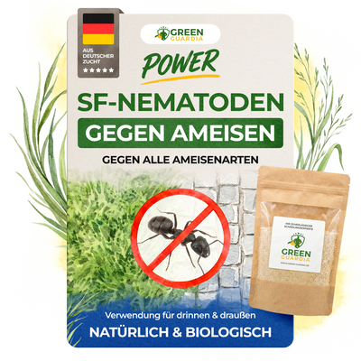 SF-Nematoden gegen Ameisen