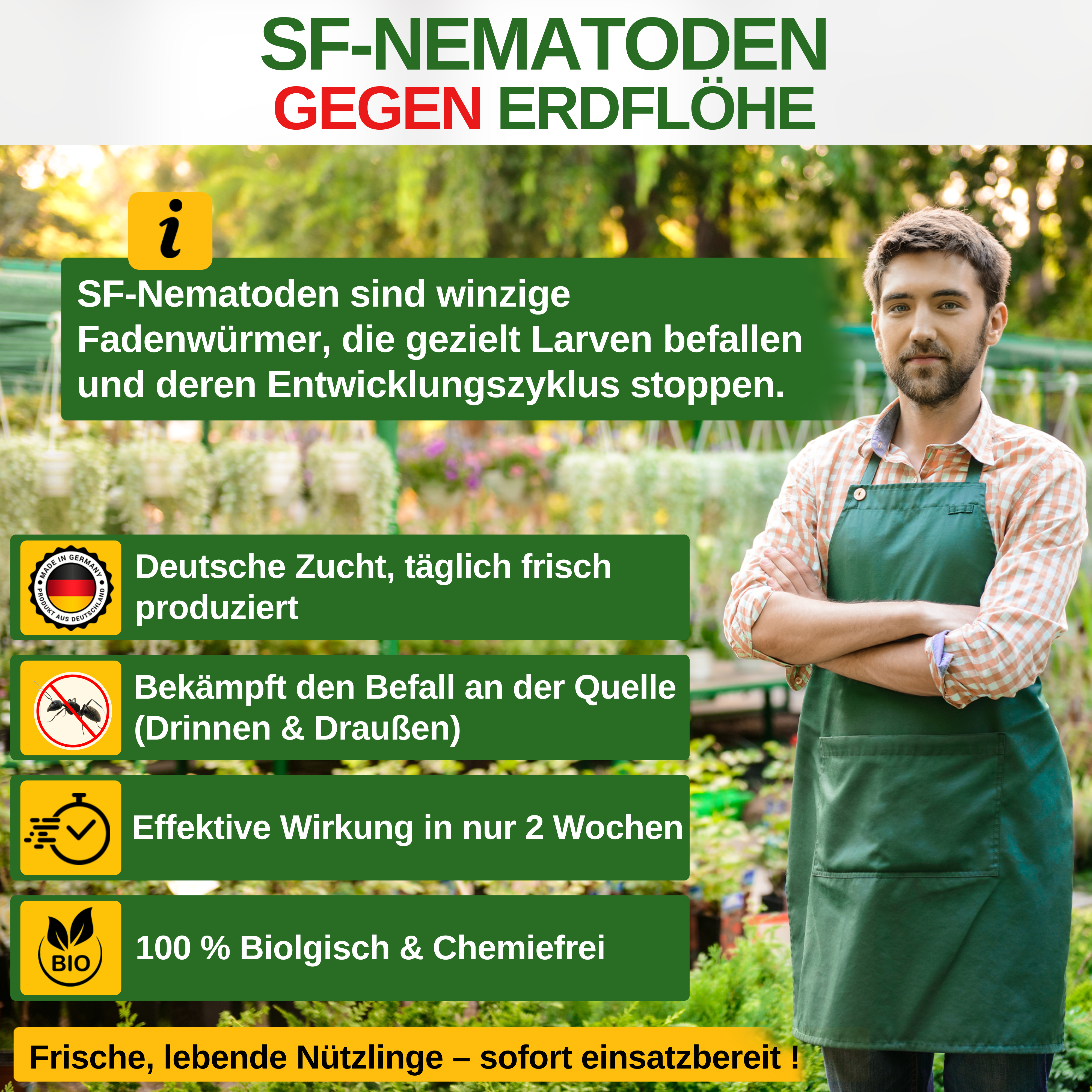 SF - Nematoden gegen Erdflöhe - Green Guardia - Ihr Experte für Schädlinge und Pflanzen