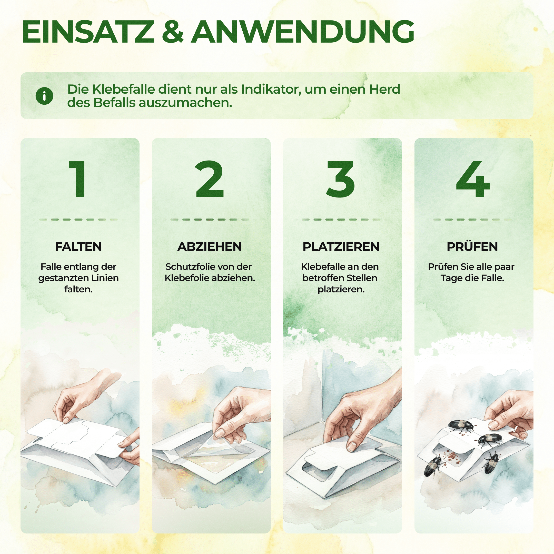 Speckkäfer Falle - Green Guardia - Ihr Experte für Schädlinge und Pflanzen