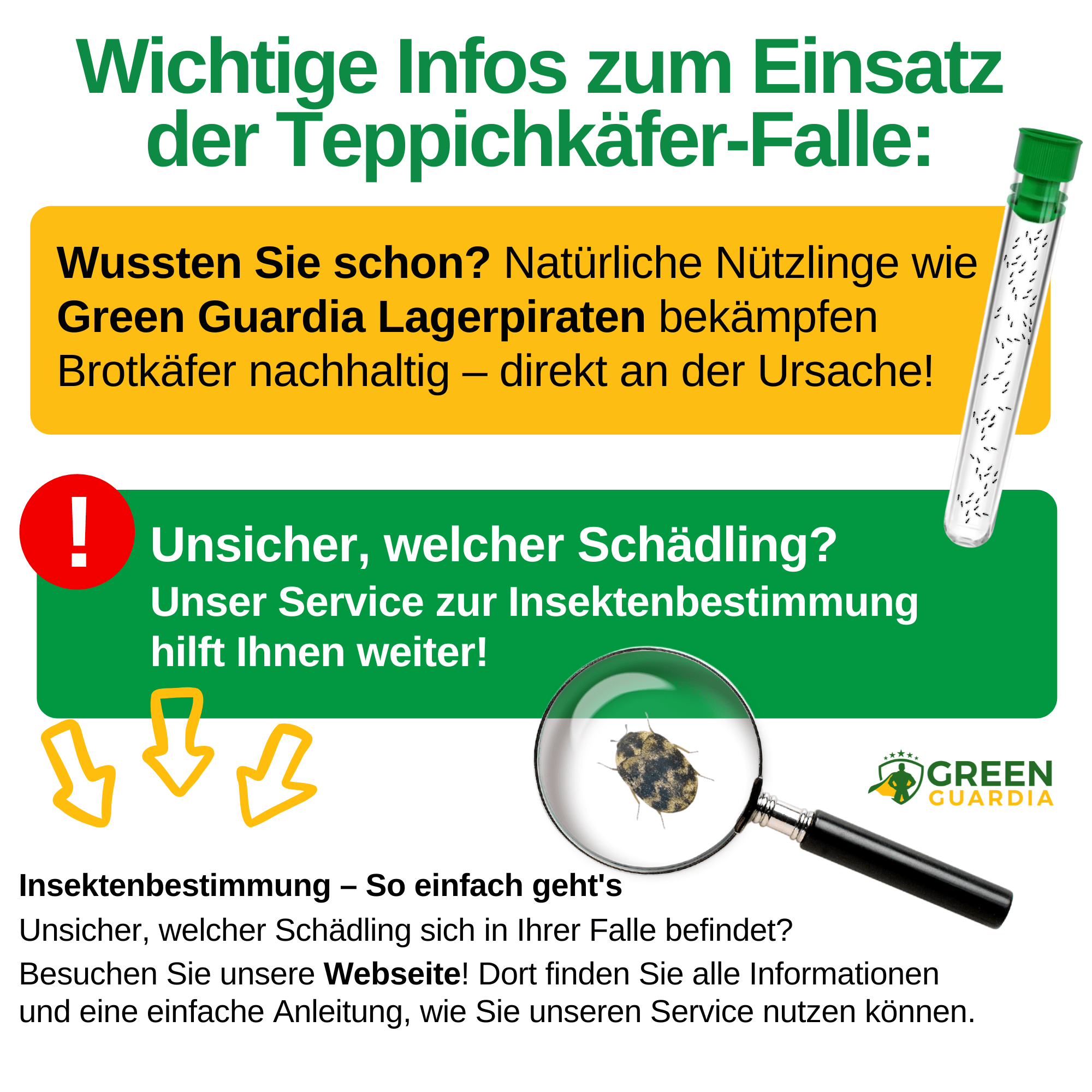 Teppichkäfer Falle - Green Guardia - Ihr Experte für Schädlinge und Pflanzen