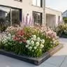 Perennial Pack – bee & butterfly attracting – 6 perennials – for approx. 1 m² – various colors – low-maintenance – 11 cm pot