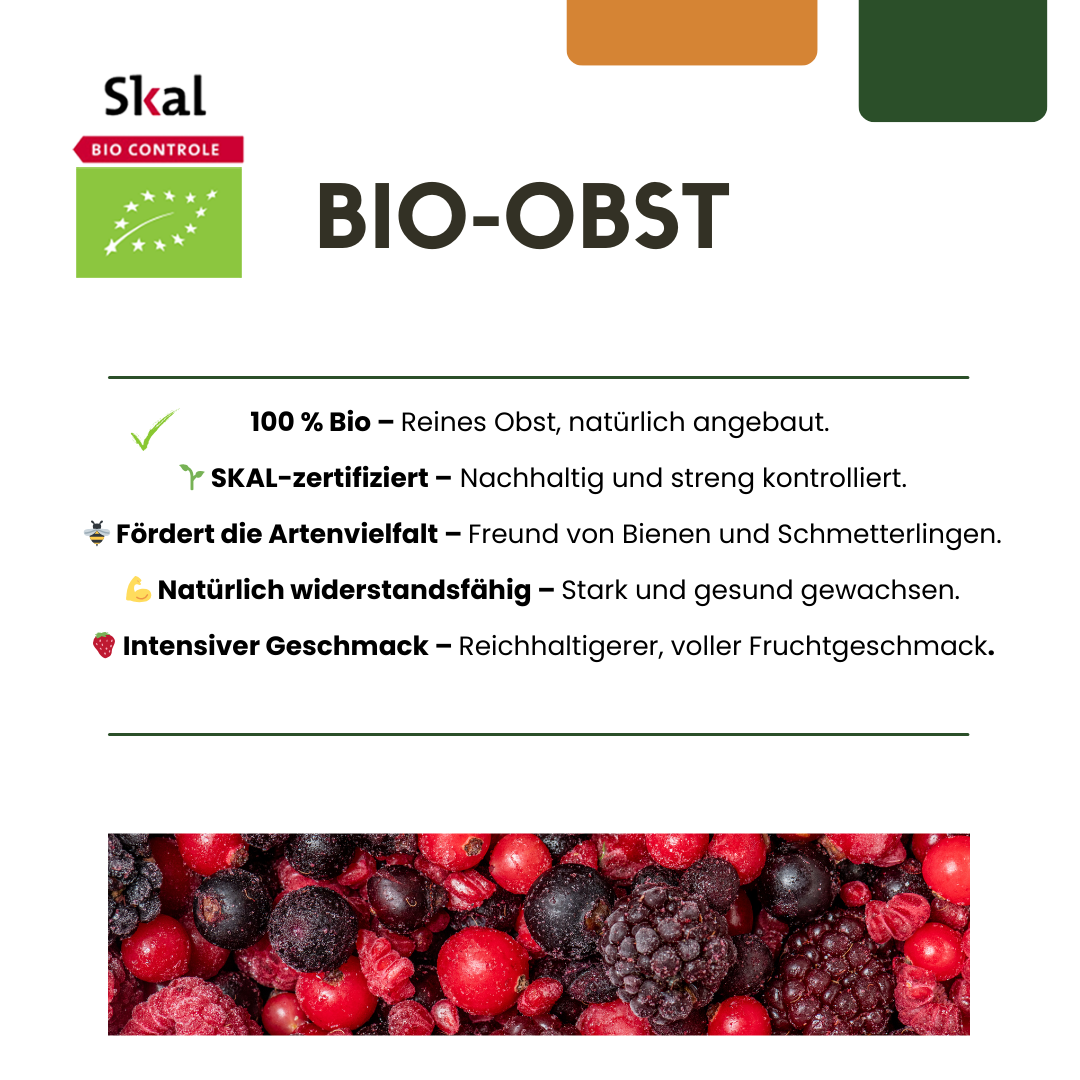 BIO Obstpflanzen-Set „Süße Ernte Trio“ – drei verschiedene Sorten