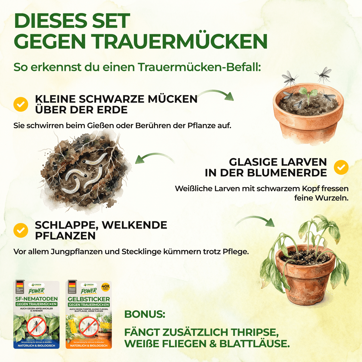 Trauermücken-Frei Set - Green Guardia - Ihr Experte für Schädlinge und Pflanzen