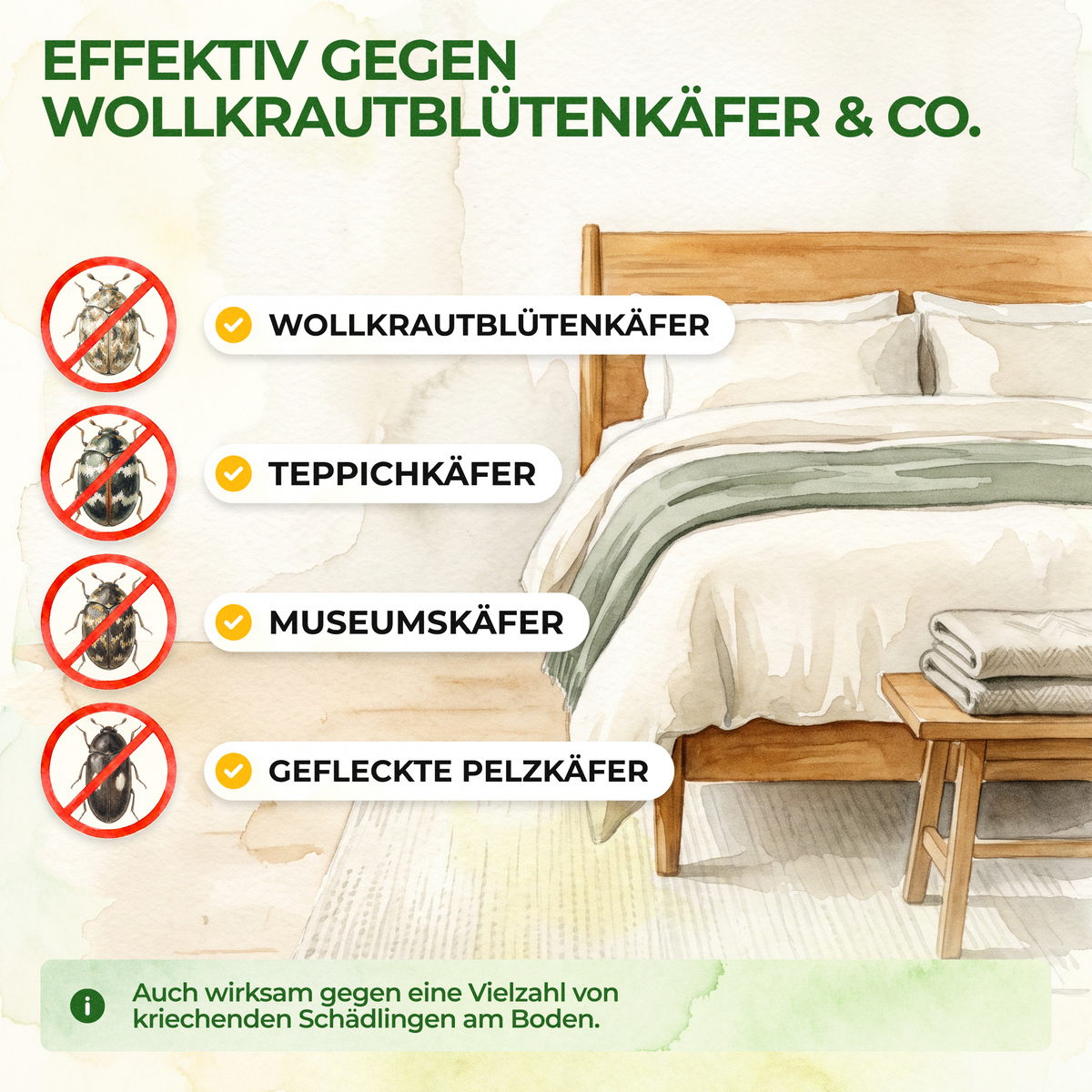 Woolly carpet beetle trap