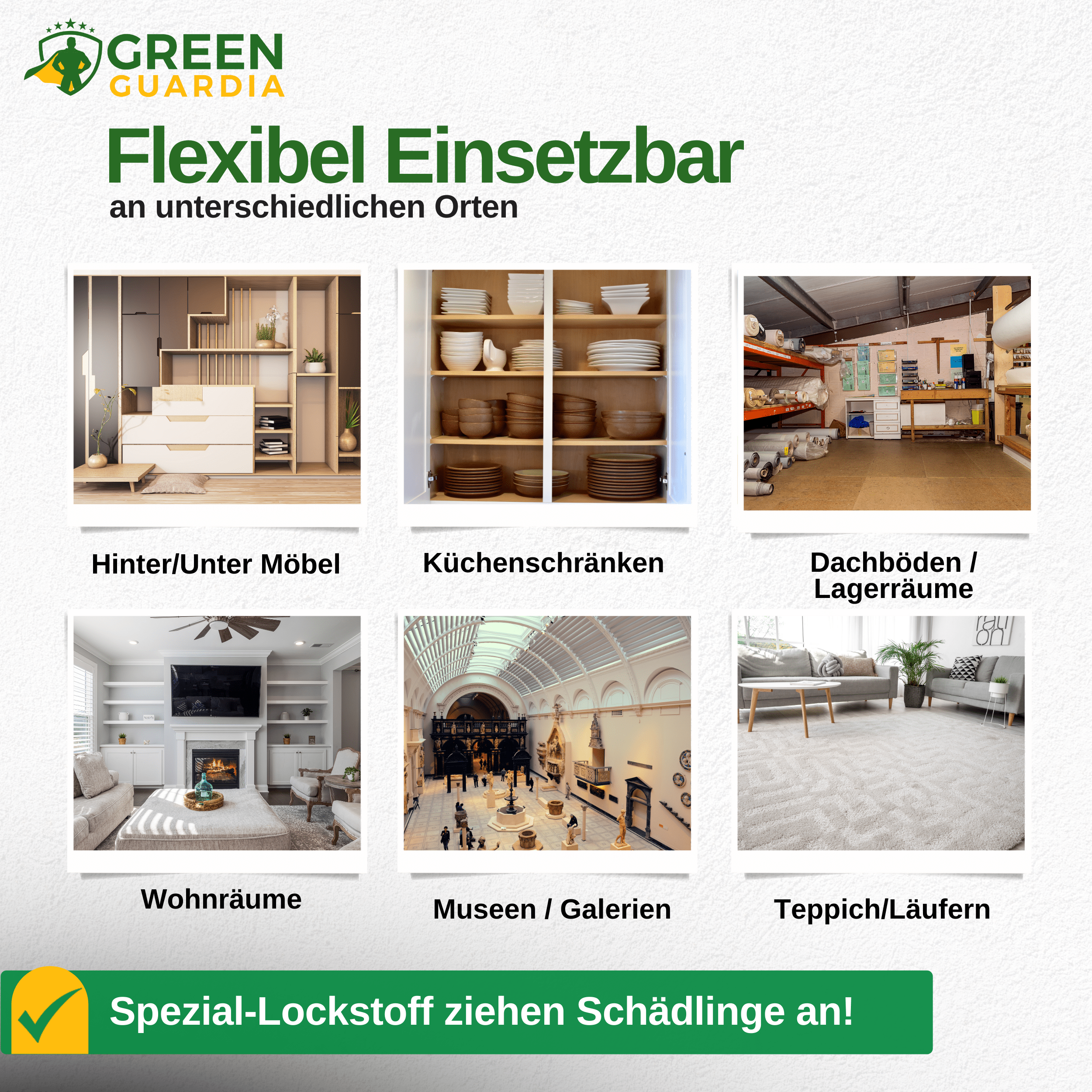 Wollkrautblütenkäfer Falle mit Spezial - Lockstoff - Green Guardia - Ihr Experte für Schädlinge und Pflanzen